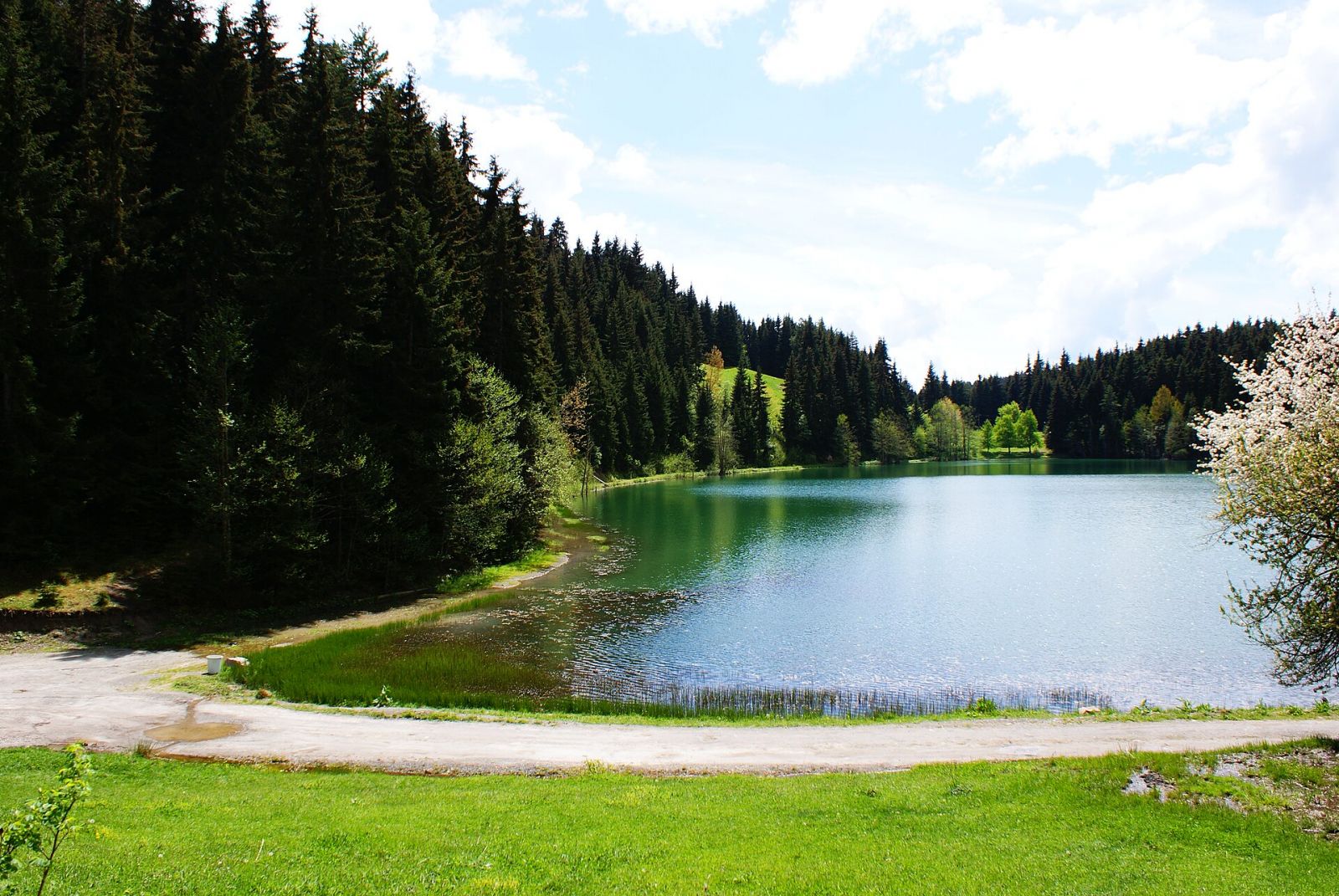 Karagöl — Artvin Web Tasarım