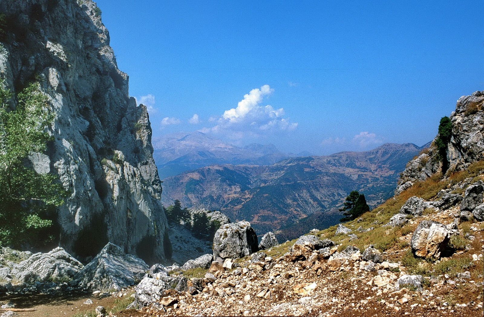 Gül Bahçeleri — Isparta Web Tasarım