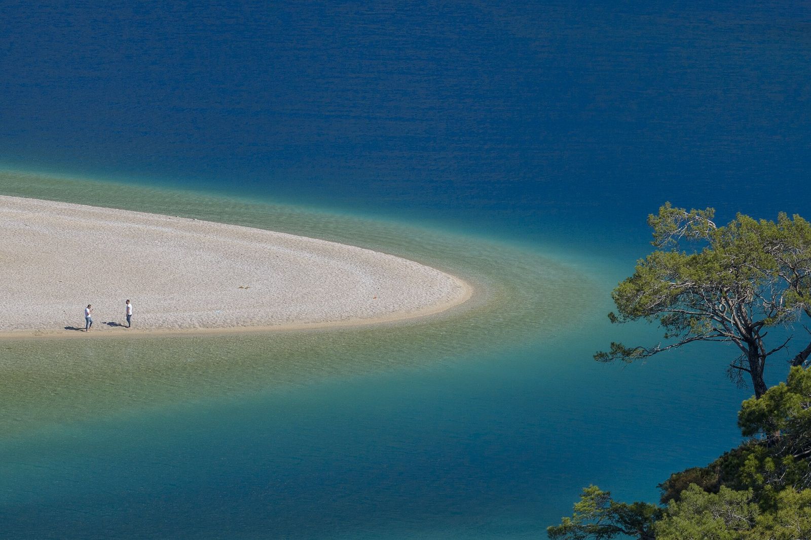 Ölüdeniz — Muğla Web Tasarım