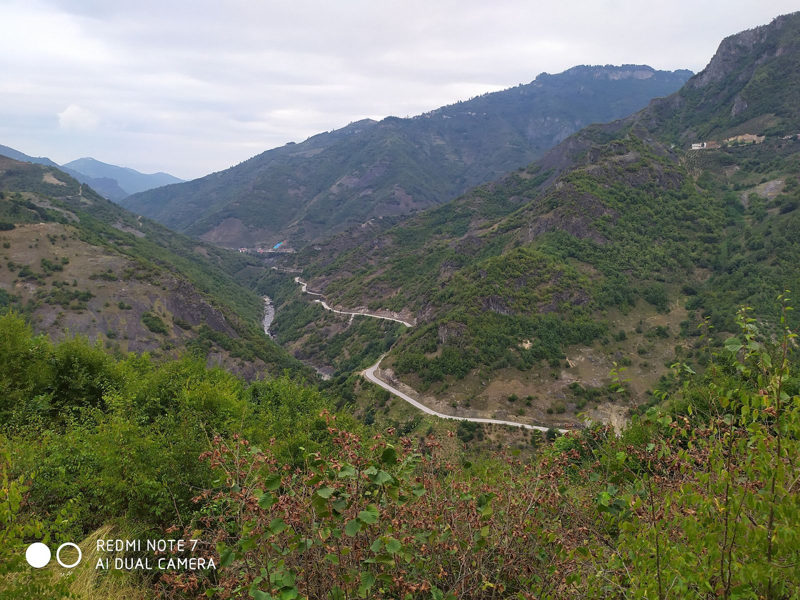 Boztepe — Ordu Web Tasarım